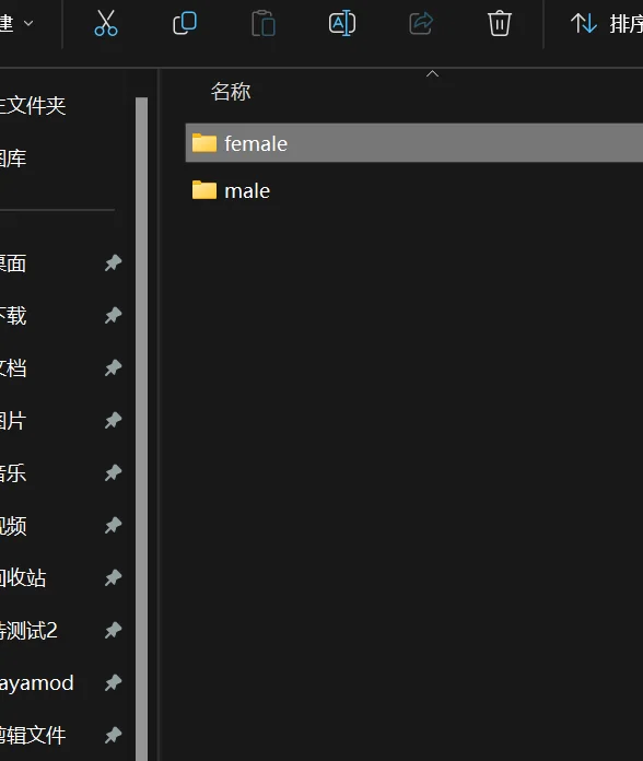 图片[4]-hs2服装文件安装教程-yayamod